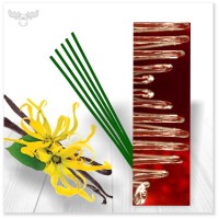 Räucherstäbchen Ylang-Ylang im Flachbeutel, Motiv: Spirale
