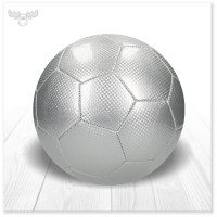 Fußball - Farbe Silber