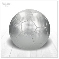 Fußball Carbon Größe 5